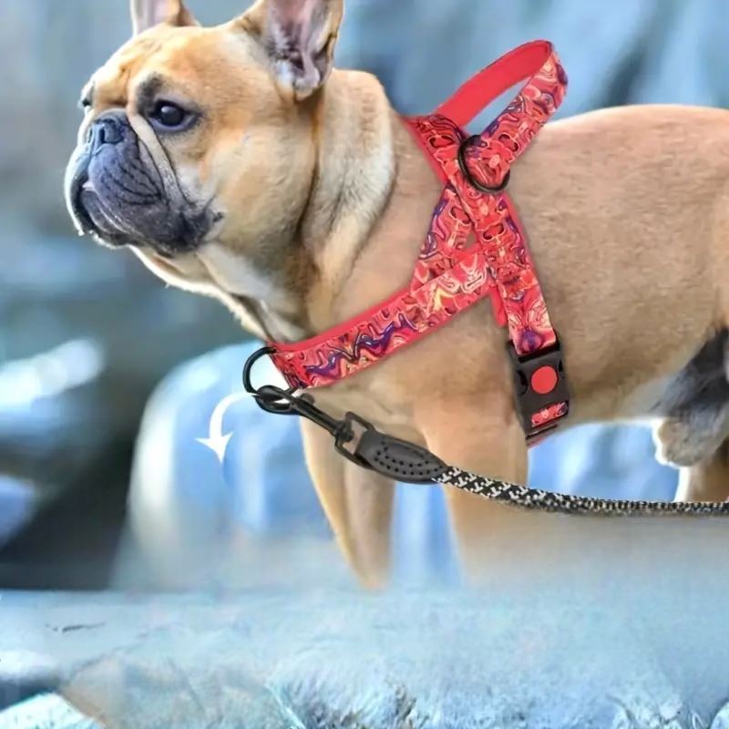 Harnais pour Chien - DogSafeHarness™ - Rouge - Alvy Canin