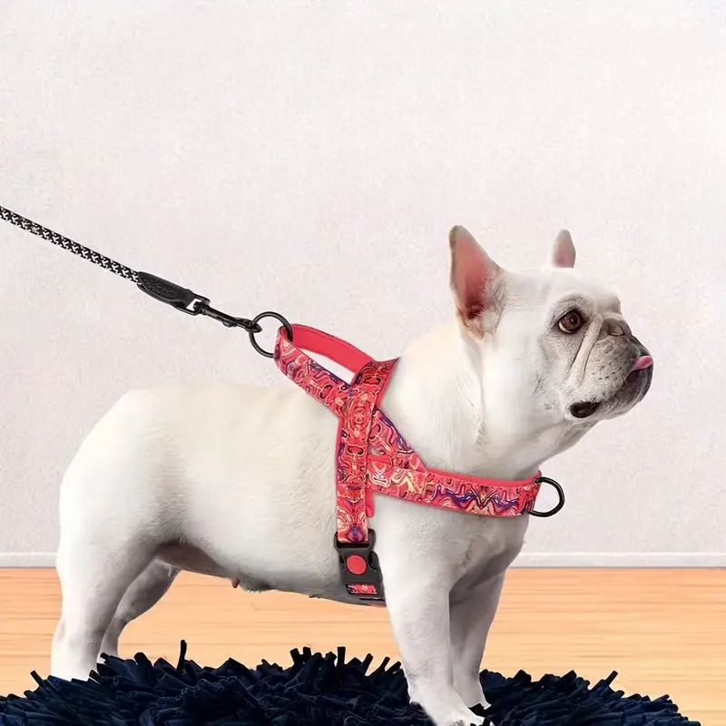 Harnais pour Chien - DogSafeHarness™ - Rouge - Alvy Canin