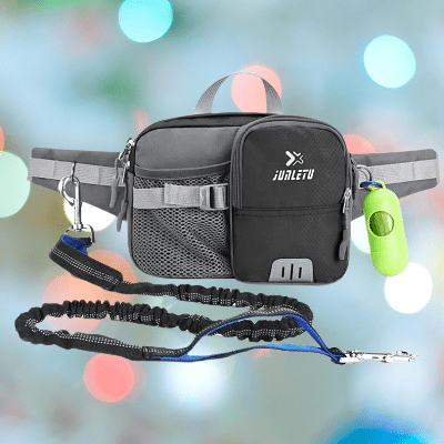 Laisse pour Chien - WaistBag™ - Gris - Alvy Canin